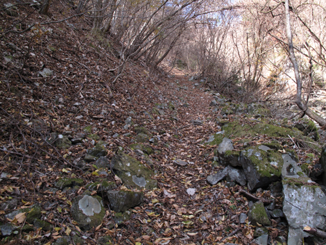 20171128hike (31)